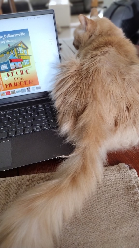 big orange cat sitting next to computer