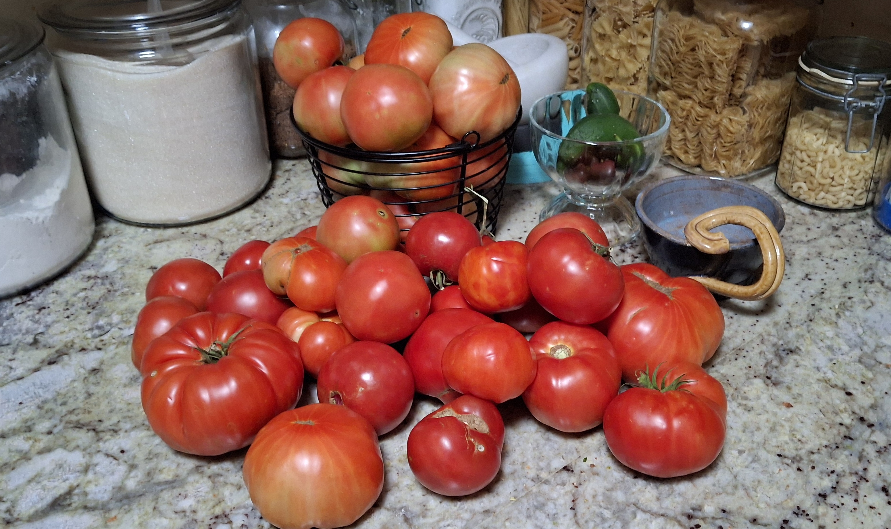 counter full of garden ripe tomatoes