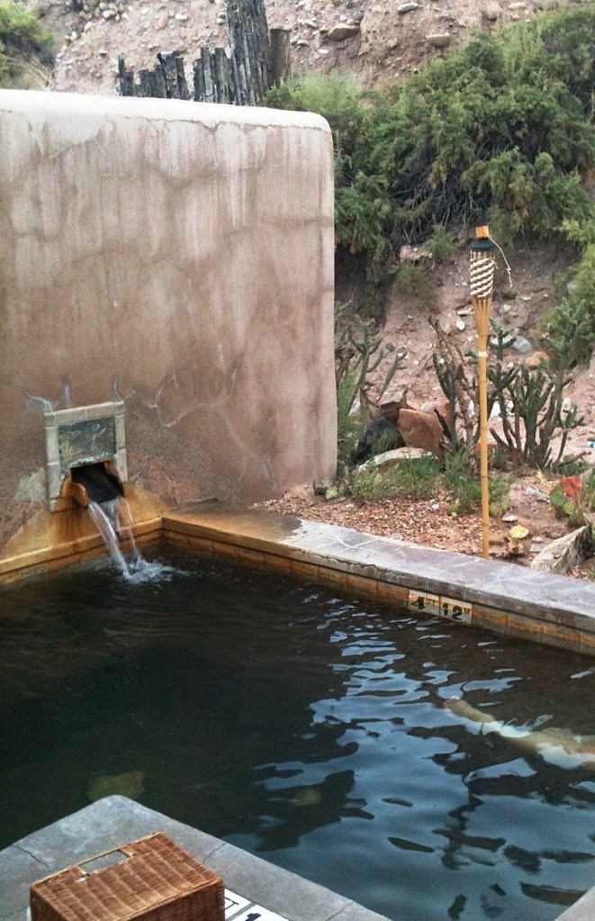 Hot springs pool with fountain