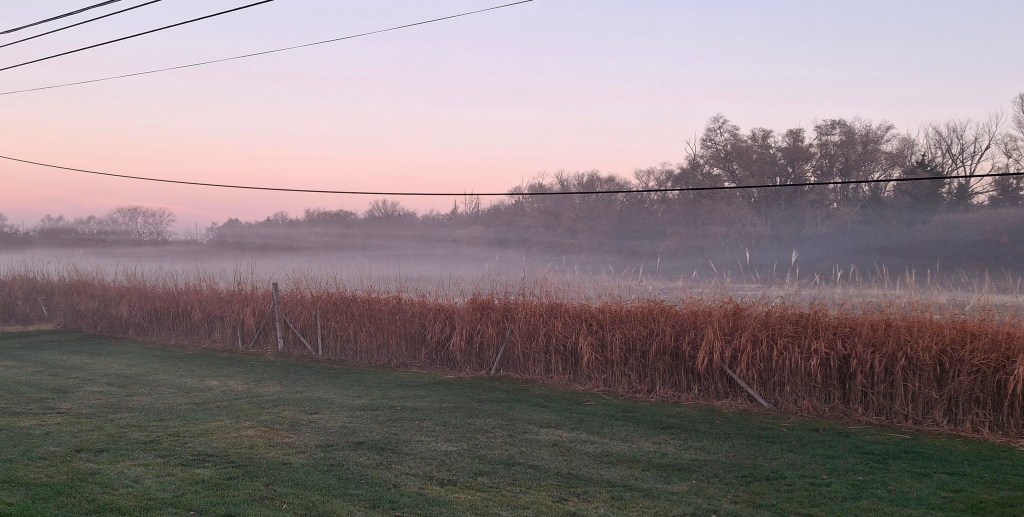 Fog over a grassy meadow