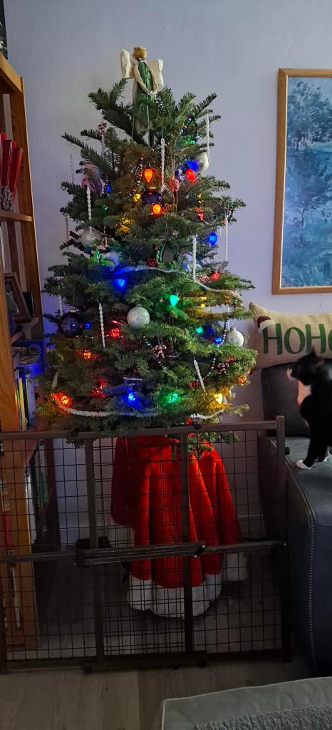 Tuxedo cat on couch arm looking up at the Christmas tree