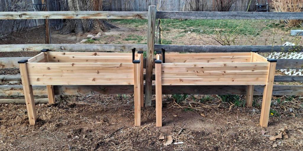 two elevated garden beds against a fence backdrop
