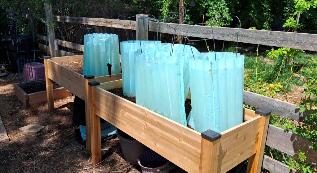 Elevated garden beds with walls of water around plants