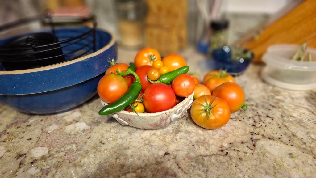 Bowl of ripening tomatoes, a few jalapenos in a bowl