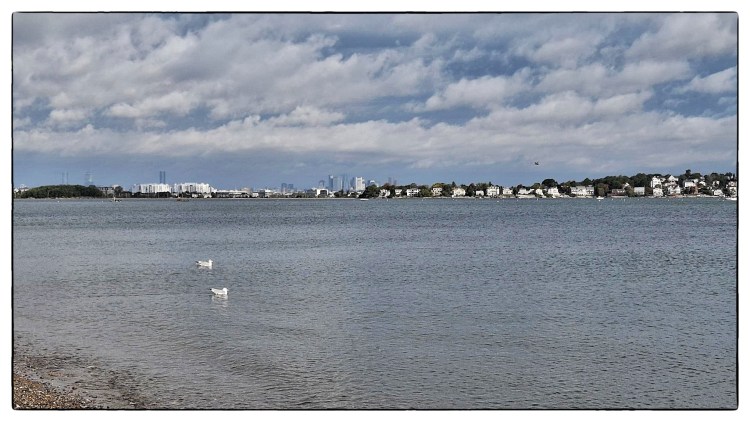 Boston skyline from beach
